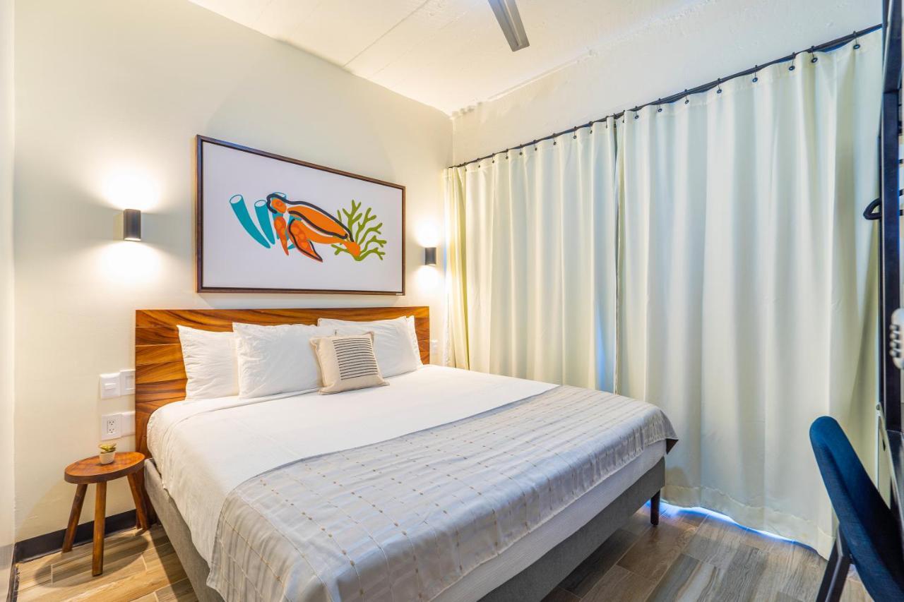 Joint Boutique Hotel Zona Romantica 巴亞爾塔港 外观 照片