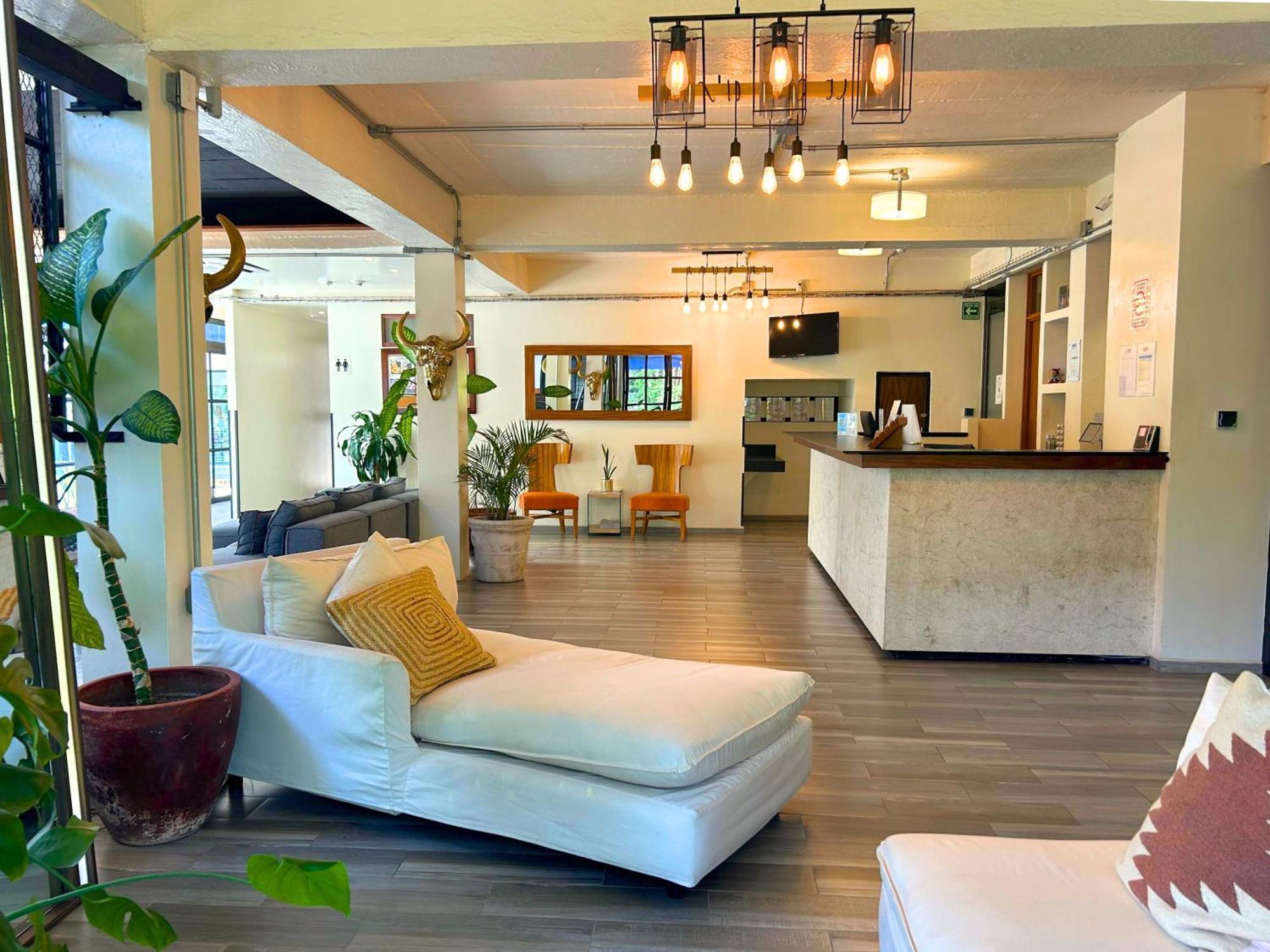 Joint Boutique Hotel Zona Romantica 巴亞爾塔港 外观 照片